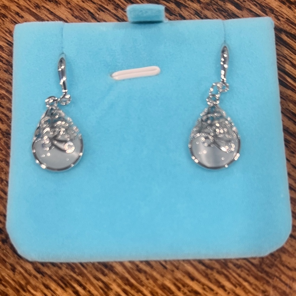 Chic Silver Teardrop Earrings